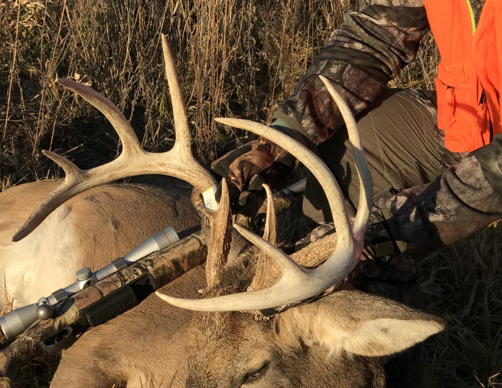 Listing Photo: Hunting Photo 5